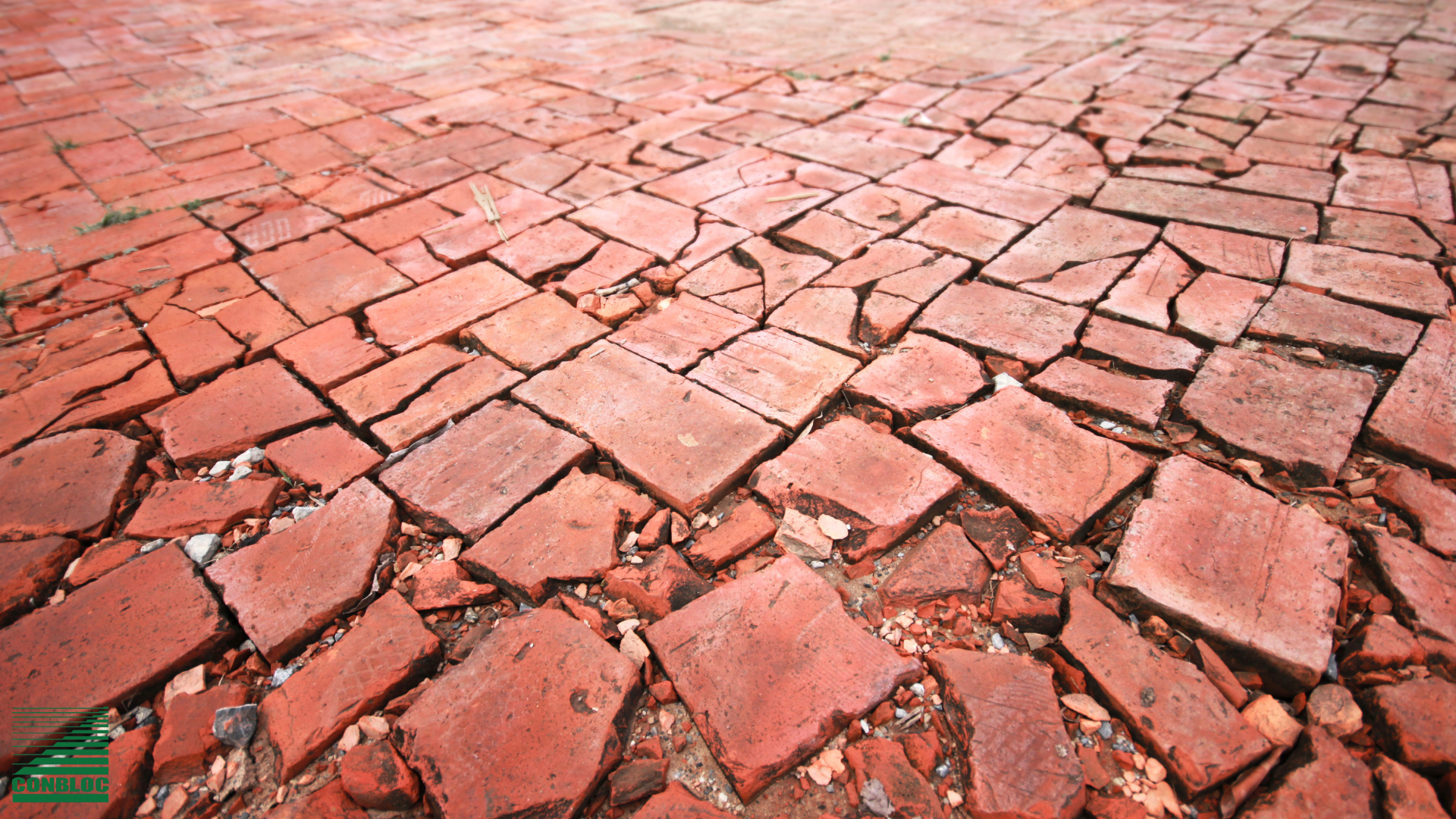 Kesalahan yang Sering Terjadi saat Pemasangan Paving Block