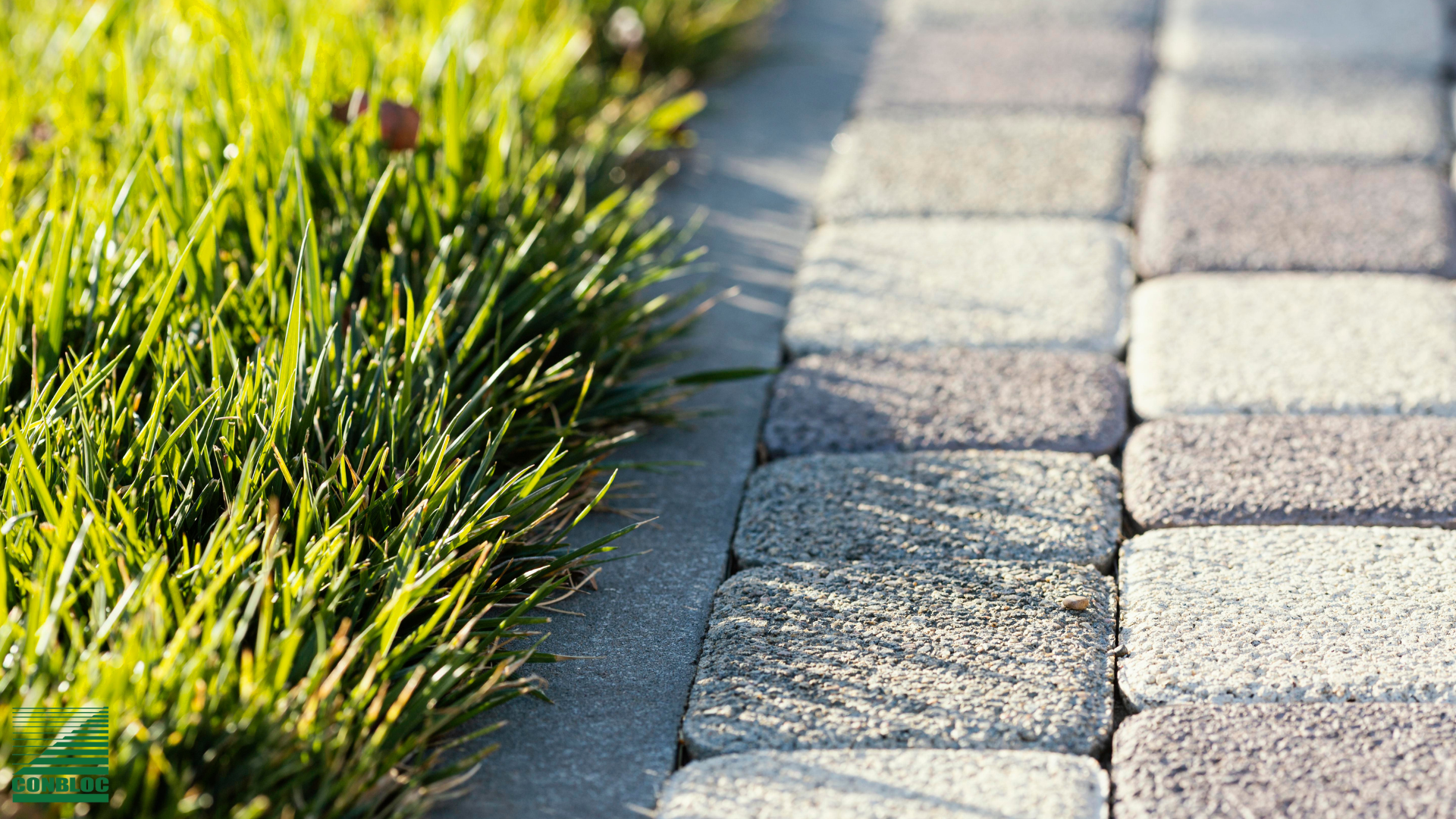 Mengenal Paving Batu Alam, Solusi Cerdas untuk Tampilan Natural