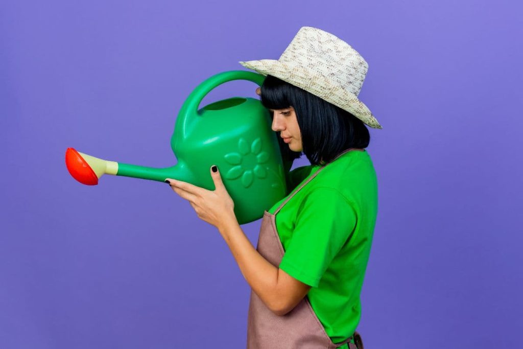 wanita yang sedang menyiram menggunakan alat penyiram